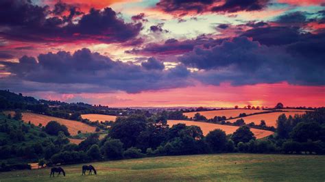 Sunset Clouds Landscapes Nature Trees Animals Fields Hills Ireland