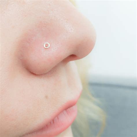 Classy Small Stud Nose Piercing Ubicaciondepersonascdmxgobmx