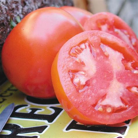 Oregon Spring In 2020 Tomato Seeds Organic Tomato Seeds Seeds