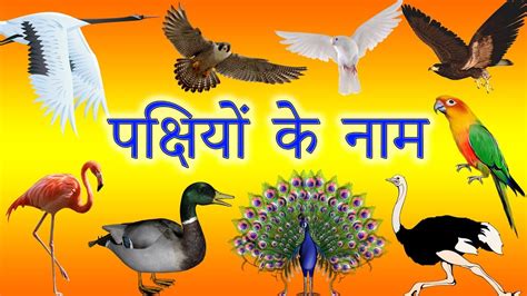 Vielka zamora on 50 important subordinating conjunctions in english grammar. Birds name in hindi pdf, iatt-ykp.org
