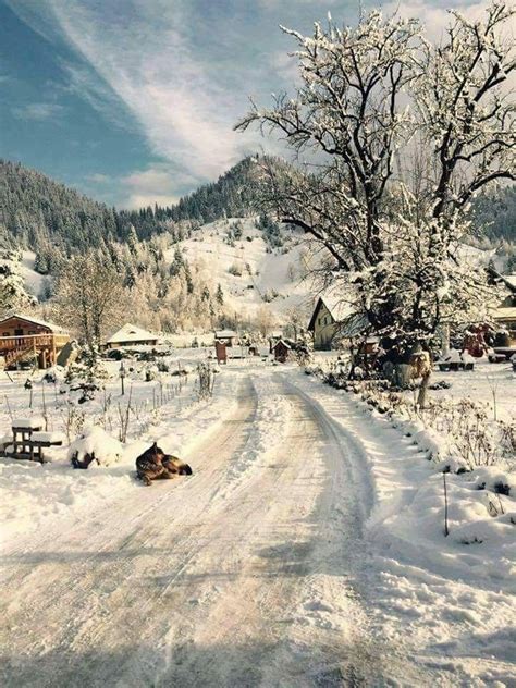 Pojorata Suceava Romania Winter Scenery Winter Scenes Winter Landscape