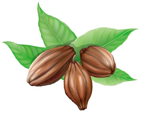 Free Cocoa Cliparts Download Free Cocoa Cliparts Png Images Free