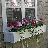 Cape Cod Flower Box Images