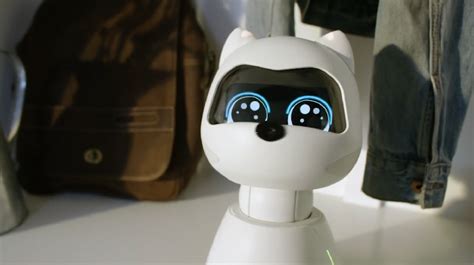 This Big Eyed Cuddly Ai Robot Might Be Your Next Pet Strictly Robots