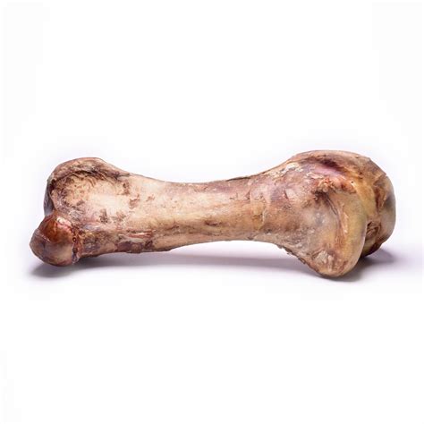 Ostrich Bone Large Fresco Dog Uk Reviews On Judgeme