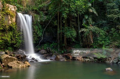 Curtis Falls Tropical Rainforest Waterfall Australia High Res Stock