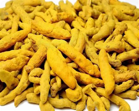 Turmeric Finger Enjay Marketing Services Private Limited Mumbai