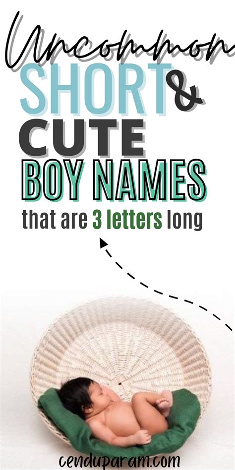 Three Letter Boy Names With Meanings Unique Boy Names English