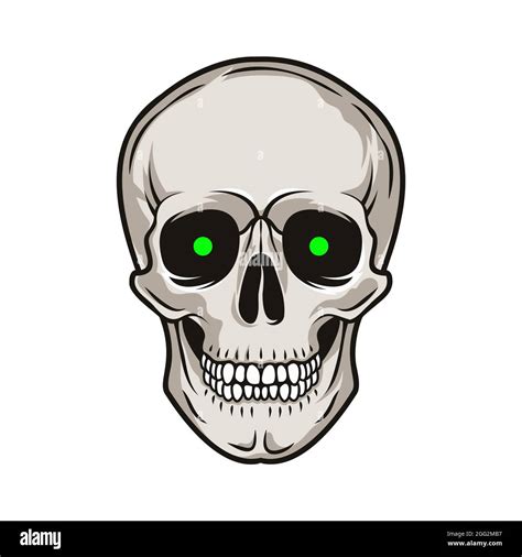 Female Skeleton Front Stock Vector Images Alamy
