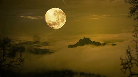 Halloween Footage Timelapse Dramatic Sky With Tree Full Moon And