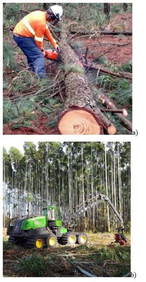 Características do trabalho florestal antes e depois da mecanização