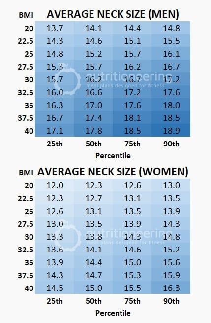 Average Neck Size Statistics And Charts For Men Women