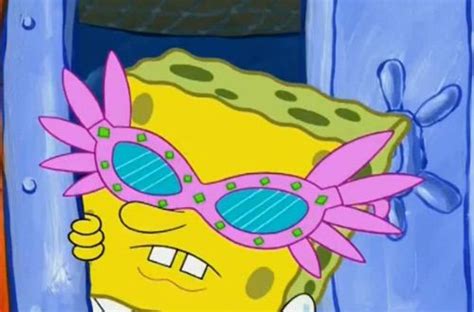 Weitere ideen zu dumme memes, meme lustig, memes. Idee von kxurtneyyy auf memes | Spongebob bilder