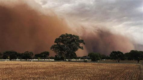 Dust Storm Sweeps Across Riverina In Spectacular Photos Daily Telegraph