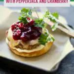 Turkey Burger With Pepper Jack And Cranberry