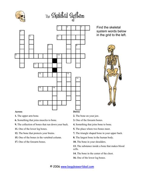Skeleton Crossword Puzzle Printable Printable Word Searches