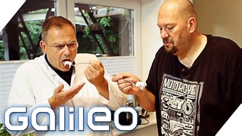 101,951 likes · 2,199 talking about this. Jumbo Schreiner testet Fleischsalat | Galileo | ProSieben ...