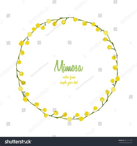Watercolor Mimosa Flower Isolated On White Background Round Frame