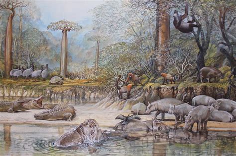Madagascar During The Late Pleistocene Rnaturewasmetal
