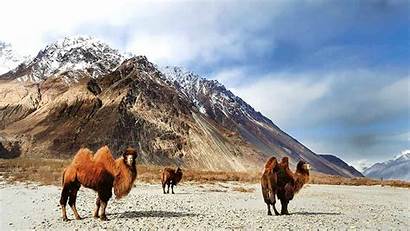 National Park Hemis India Ladakh Places