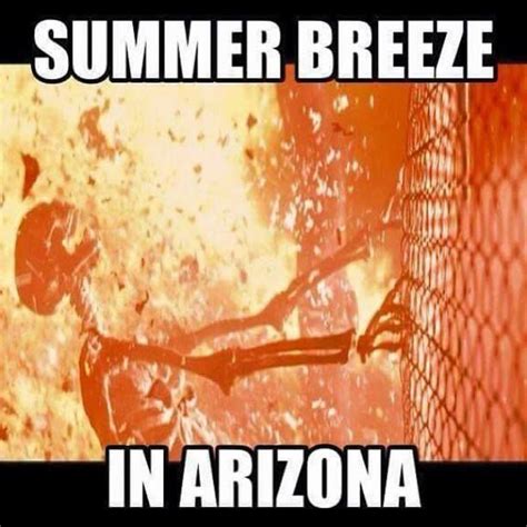 Its A Dry Heat Meme Memestund