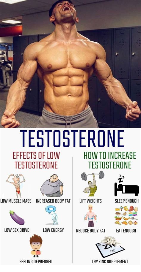 8 Maneras De Aumentar Los Niveles De Testosterona Naturalmente Ejercicios De Entrenamiento