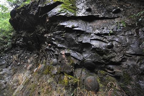 Mysterious Egg Laying Cliff In China Baffles Scientists Video And