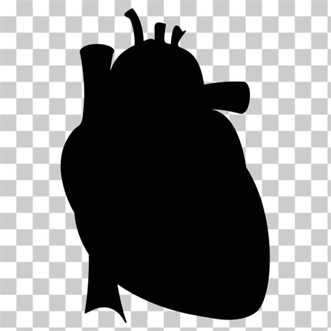 Free Svg Realistic Heart Silhouette Nohatcc