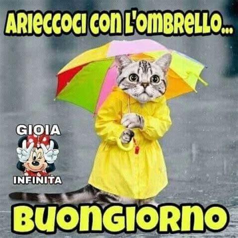 Immagini Buongiorno Pioggia Fotowhatsapp It Buongiorno Buongiorno Divertente Buongiorno