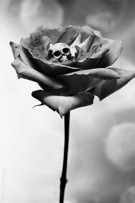 Remorse 2 Free Shipping Surreal Photo Print Black And White