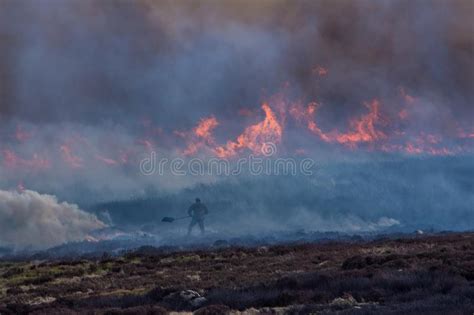 Heather Moor Burning Controlled Fire North Yorkshire Editorial Image