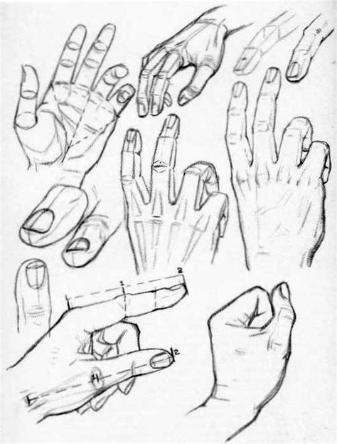 How To Draw Hands Reference Sheets And Guides To Drawing Hands How