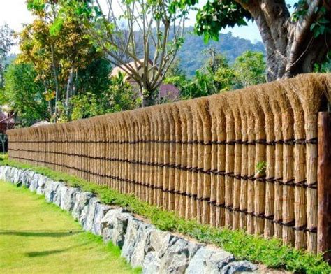 Front Yard Natural Fence Ideas Mightiest Forum Miniaturas