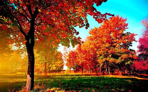 Autumn Landscape 3d Desktop Wallpapers Top Free Autumn Landscape 3d