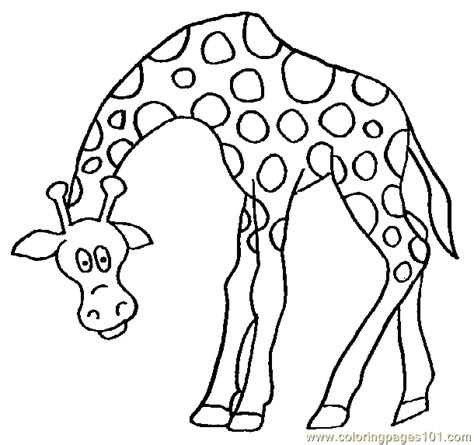 giraffe coloring pages  coloring page  kids  giraffe printable coloring pages