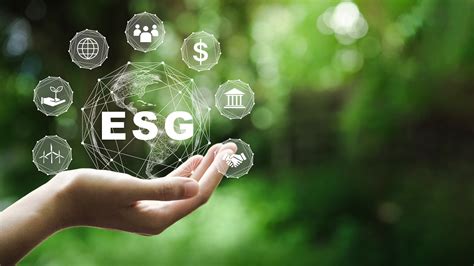 The Crucial Esg Topics To Focus On Right Now Antea Group