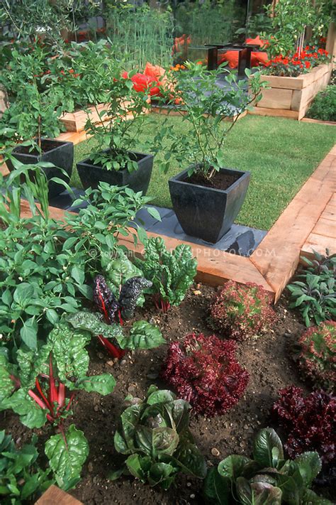 In contrast, today's typical home garden is much smaller—about 20 by 20 feet, or consisting of a few raised beds (fig. Small space vegetable garden at home | Plant & Flower ...