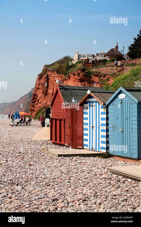 Budleigh Salterton A Selection Of Beach Huts Stock Photo Alamy