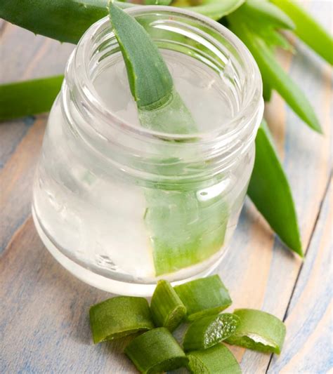 Aloe vera gel has several benefits for skin, hair and health, like treating sunburn, wounds, anti aging, acne, skin moisturizing, dandruff cure, promoting hair your homemade aloe vera gel is ready to use. How To Make Aloe Vera Juice At Home