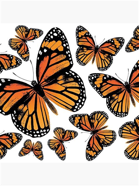 Monarch Butterflies Monarch Butterfly Vintage Butterflies