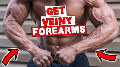 FOREARM WORKOUT FOR VEINS DUMBBELLS OR BARBELL YouTube