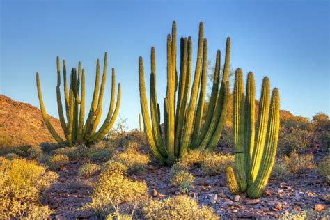 17 Most Beautiful Places To Visit In Arizona Page 12 Of 17 The
