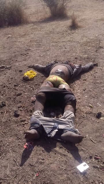 18 11 Dead Bodies Killed By Fulani Herdsmen Recovered