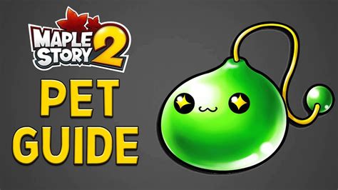 In the pet menu, you can change the name, set the convenience, and synthesize the pet! MapleStory 2 - Beginner's Guide to Pets! Different Ways To Get Pets Ms2 Guide - YouTube