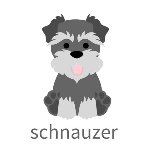 check out this awesome post imagenes de perros schnauzer dibujos dibujos de colorear