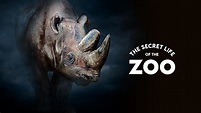 Watch The Secret Life of the Zoo - Season 5 | Prime Video