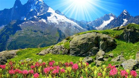 Flower Mountain Wallpapers Top Free Flower Mountain Backgrounds