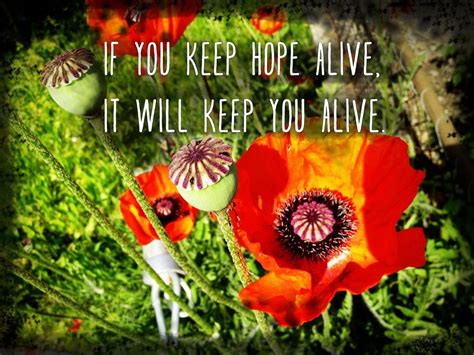 Find and follow posts tagged hope quotes on tumblr. If you keep hope alive, it will keep you alive (mit Bildern)