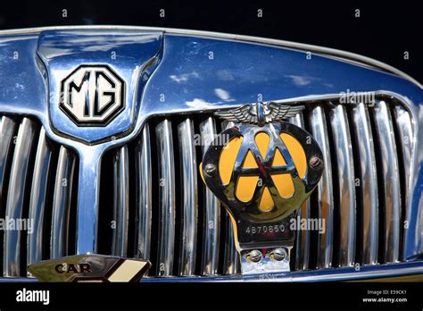 Mgbgt Mg Midget Jubilee Gold Front Grill Badge Cha507 Classic Mg Mgb
