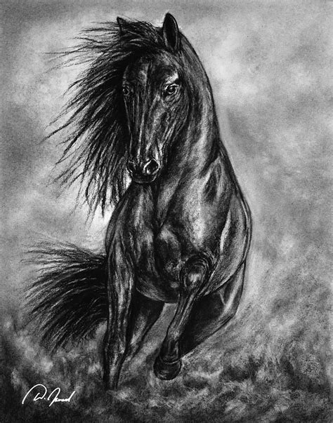 Title Wild And Free Artist Walter Israel Medium Charcoal Drawing